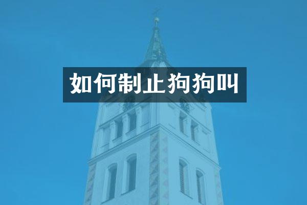 如何制止狗狗叫