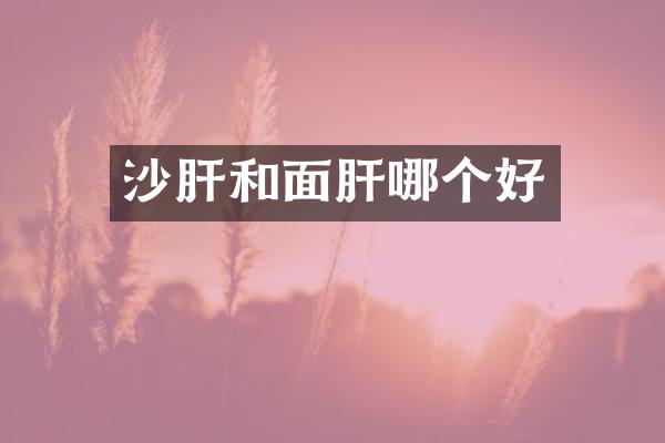 沙肝和面肝哪个好
