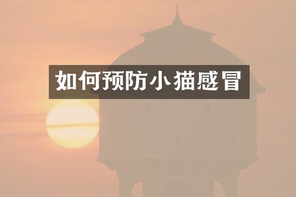 如何预防小猫感冒