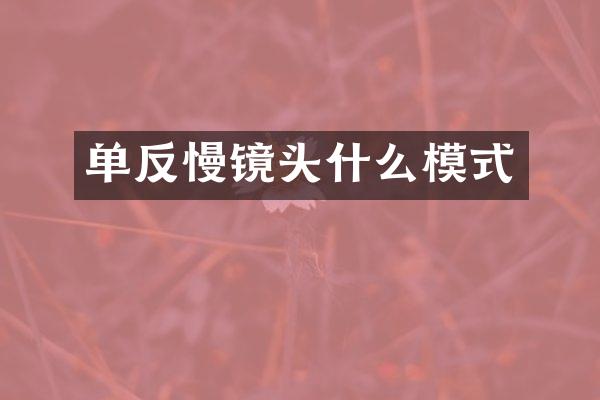 单反慢镜头什么模式