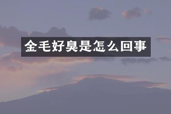 金毛好臭是怎么回事