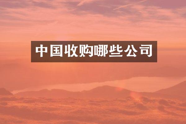中国收购哪些公司