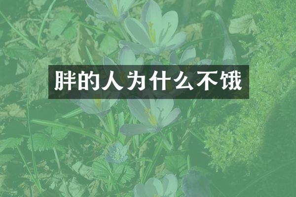 胖的人为什么不饿
