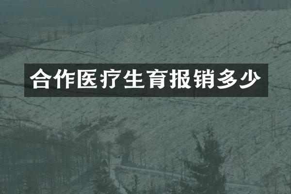 合作医疗生育报销多少