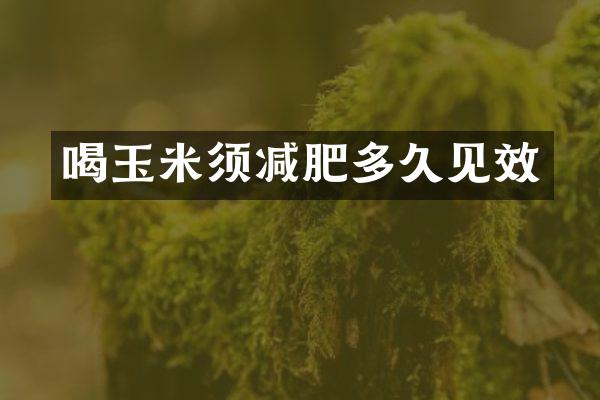喝玉米须减肥多久见效