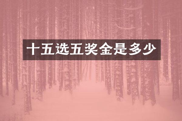 十五选五奖金是多少