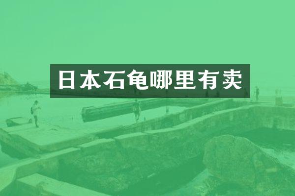 日本石龟哪里有卖