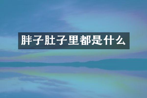 胖子肚子里都是什么