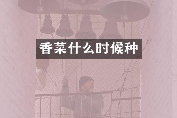 香菜什么时候种