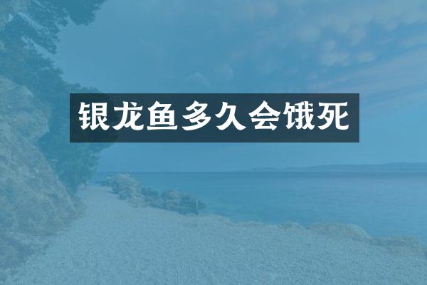 银龙鱼多久会饿死