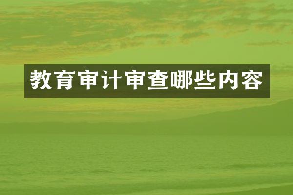 教育审计审查哪些内容