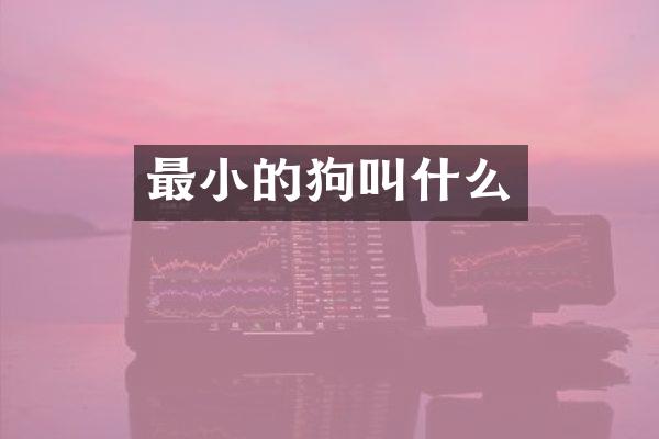 最小的狗叫什么