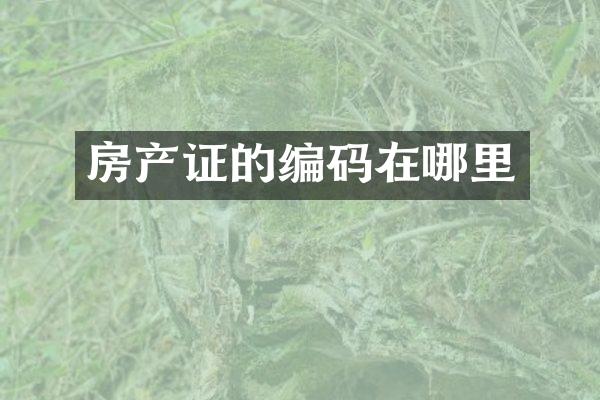 房产证的编码在哪里