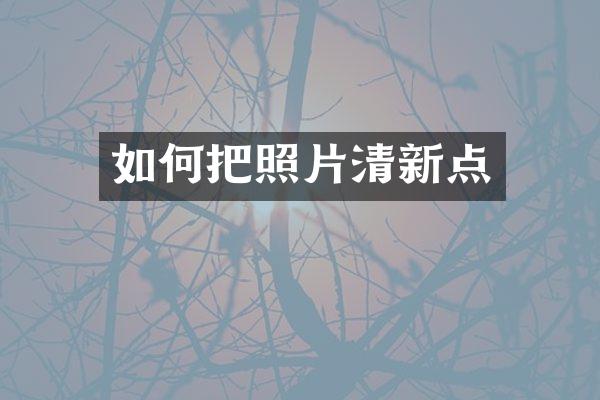 如何把照片清新点