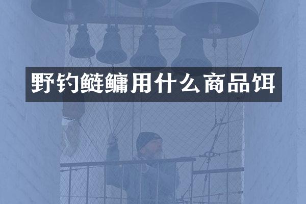 野钓鲢鳙用什么商品饵
