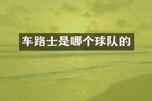 车路士是哪个球队的