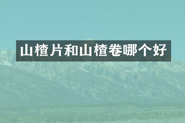山楂片和山楂卷哪个好