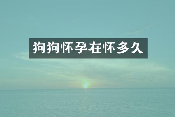 狗狗怀孕在怀多久