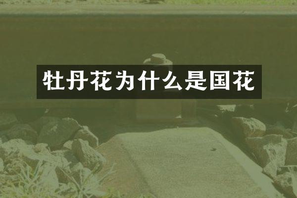 牡丹花为什么是国花