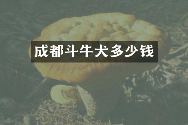 成都斗牛犬多少钱