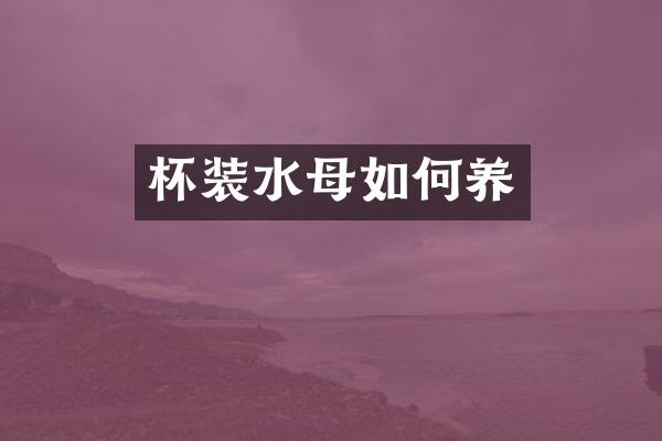 杯装水母如何养