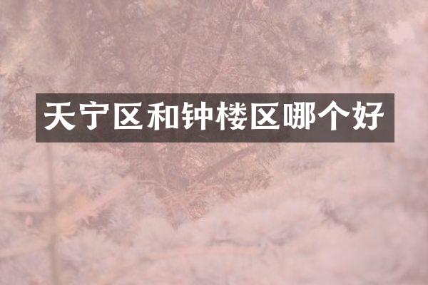 天宁区和钟楼区哪个好