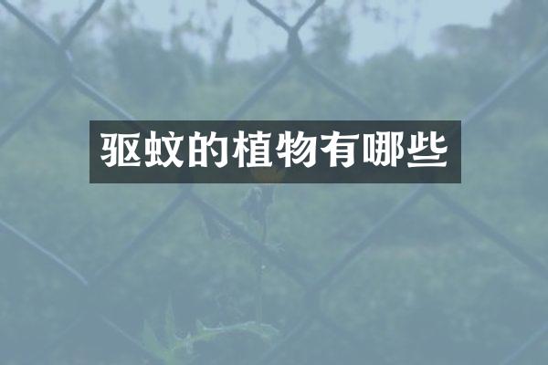 驱蚊的植物有哪些