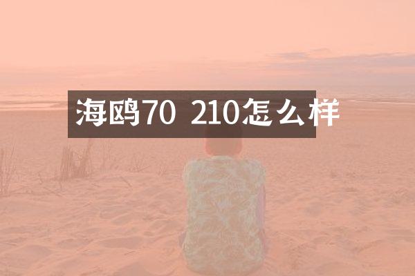 海鸥70 210怎么样