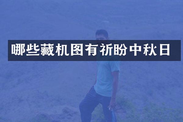 哪些藏机图有祈盼中秋日