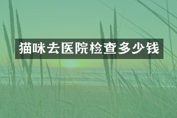 猫咪去医院检查多少钱