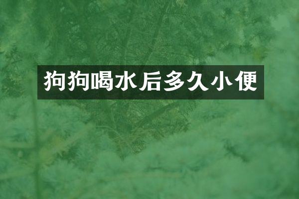 狗狗喝水后多久小便