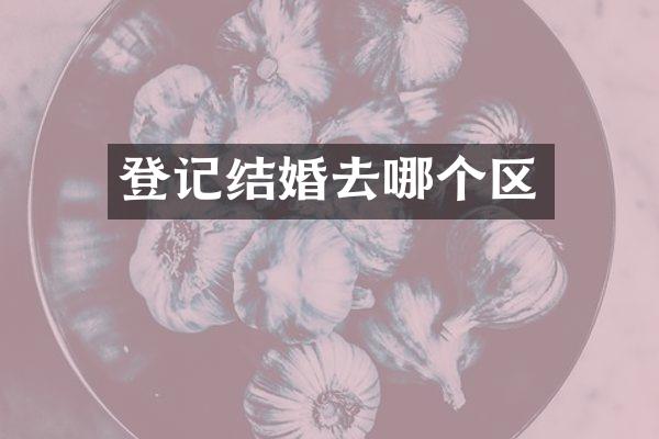 登记结婚去哪个区