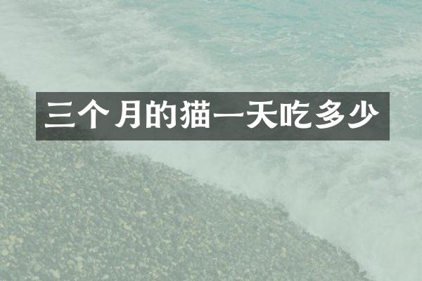 三个月的猫一天吃多少