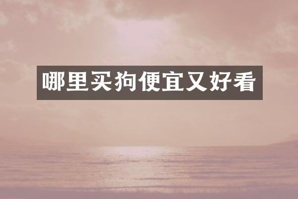 哪里买狗便宜又好看