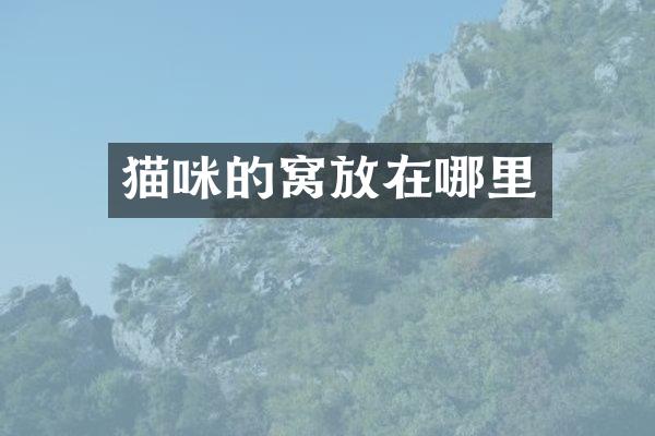 猫咪的窝放在哪里