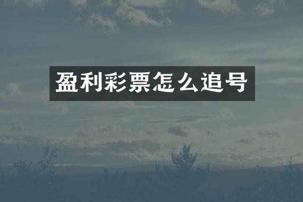 盈利彩票怎么追号
