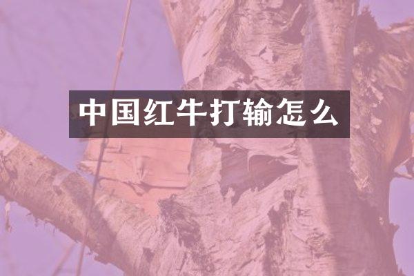 中国红牛打输怎么