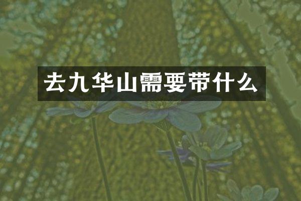 去九华山需要带什么