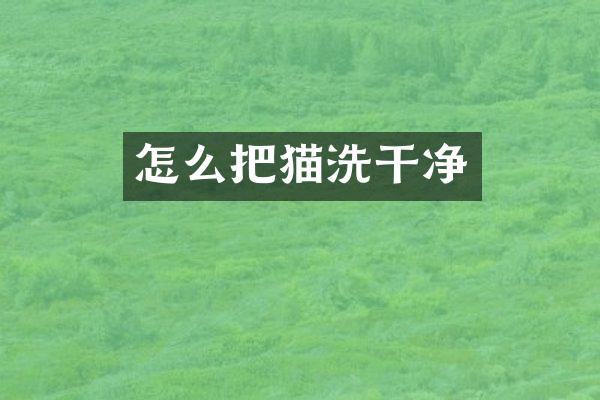 怎么把猫洗干净