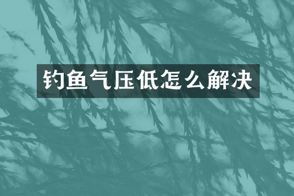 钓鱼气压低怎么解决