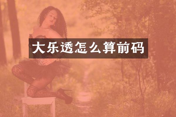 大怎么算前码