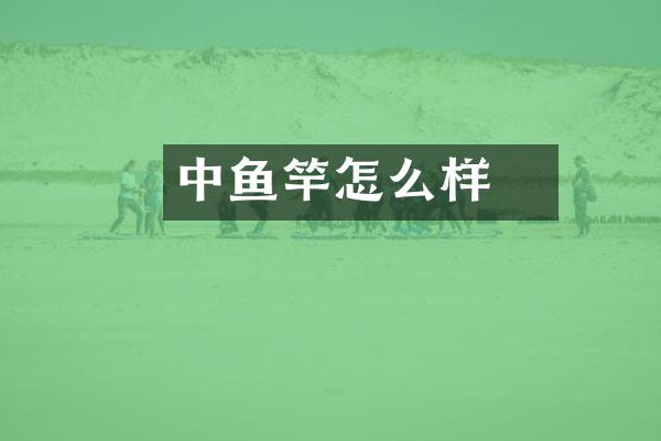 中逹鱼竿怎么样