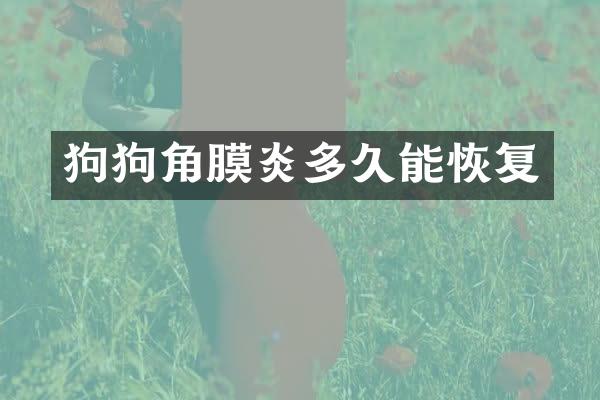 狗狗角膜炎多久能恢复