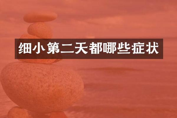 细小第二天都哪些症状