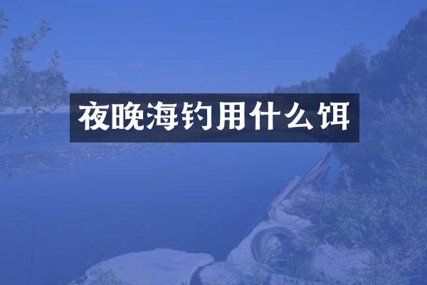 夜晚海钓用什么饵