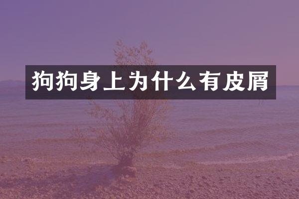 狗狗身上为什么有皮屑
