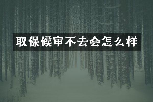 取保候审不去会怎么样