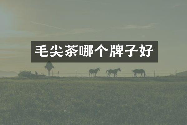毛尖茶哪个牌子好