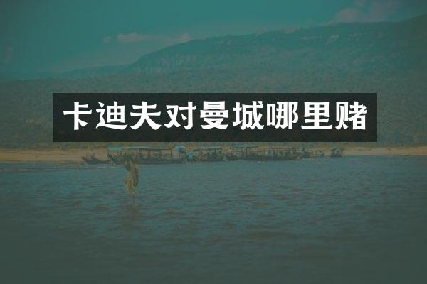 卡迪夫对曼城哪里赌