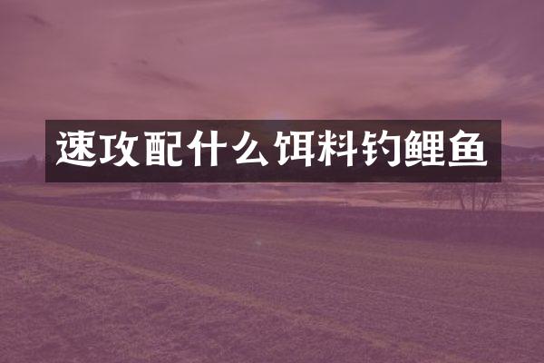 速攻配什么饵料钓鲤鱼
